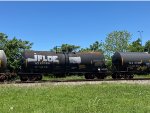 TCLX 17651